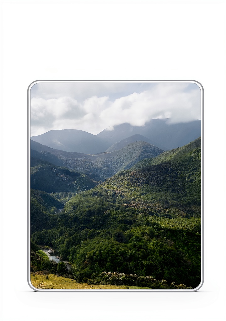 'Essie Summers Collected Works Kindle Edition'